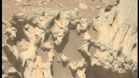 a coral-like rock on a reddish orange dusty surface