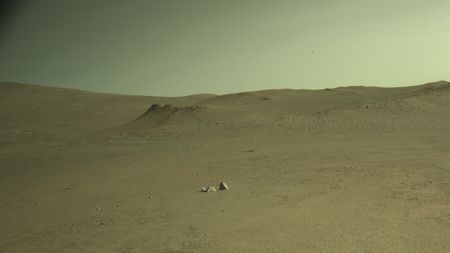 A brownish sand dune is seen in front of an empty sky in a greenish-tinted image